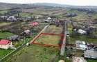 OCAZIE teren PERFECT PLAN 1.800 mp, acces 2 drumuri langa E58 - 6