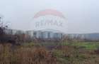 Teren intravilan  Baneasa - 5