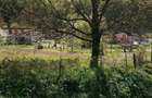 Teren intravilan Moneasa langa tabara de copii 745 mp - 1