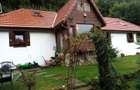 Casa de vanzare P+M - Sacaramb - 1