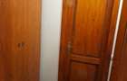 Apartament de inchiriat in Satu Mare - 9