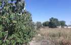 Vand teren intravilan sat Spataru - 2