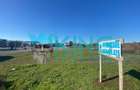 Teren Construcții de 5000 mp, în Palas - 1