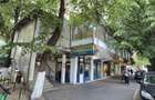 Spa?iu Comercial 330 mp. 12 mp.neg. Transilvaniei Rogerius - 9