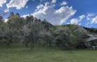 Teren intravilan 5.000 mp Garcina | 12 min de Piatra Neam? | Padure + priveli?te - 2