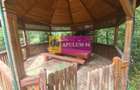 Hotel/Pensiune, de 38.833301544190 mp, în Poiana Țapului - 55