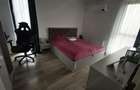 Apartament cu 2 camere decomandat în Braytim - 10