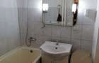 Apartament cu 2 camere semidecomandat în Podu Roș - 3
