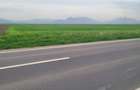 Teren Construcții de 30000 mp, în Prejmer - 1