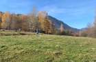 Teren 1000 mp intravilan, Tohanita, jud. Brasov - 2