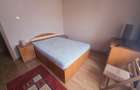 Inchiriez 2 camere decomandat pet friendly Triaj - 8