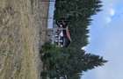Teren de vanzare Sinaia, Zamora Cumpatu | Zona A | Direct proprietar - 5