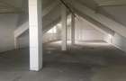 Spațiu industrial, de 590 mp, în Griviței - 3