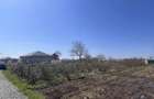 Teren de inchiriat-Doua deschideri-Zona in cont dezvoltare-C - 5