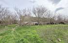 Ferma de vanzare , Loc Nistoresti Jud Constanta - 8