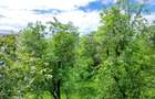 Casă individuală cu 4 camere cu Teren 4873 Mp în Moldovenești - 16