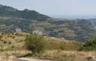 Teren extravilan de vanzare Rame?, jude?ul Alba | 600 mp - 1
