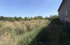 Casa se vanzare Bulgarus Timis ( inchiriere pe termen lung) - 5
