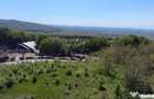 Teren de Vanzare 850 mp | Petrarie Burnova | Zona Ve - 8