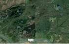 Vanzare proprietate 1,7 ha cu front direct la Dunare - 5