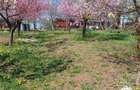 Resita, Teren / gradina. Calea Caransebesului - 1