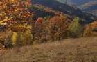 Vand teren extravilan Poiana Marului Brasov - 7