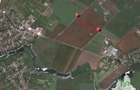Teren agricol extravilan de 81906 mp, în Petrăchioaia - 4