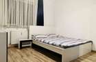 Apartament 3 camere Prima Nufarul - 10
