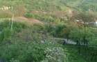 Vanzare sau Schimb! Central Drajna de Jos 5000 mp - 3