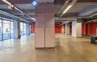Spațiu comercial, de 638.39001464844 mp, în Banu Manta - 4