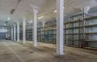 Spațiu comercial, de 800 mp, în Uzina 2 - 30