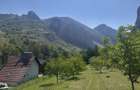 Teren de vanzare zona Valisoara Jud Alba - 5