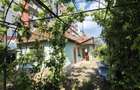 casa si teren de vanzare - 4