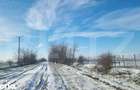PROPRIETATE AGRICOLA PREMIUM 5 HECTARE CU LIVADA DE NUCI (CHANDL - 6