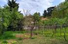 Casa de vanzare in Cuvin com. Ghioroc jud Arad - 6