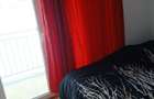 Strada Uliului -Apartament 2 camere 42 mp utili plus balcon de 12 mp - 3
