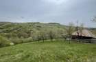 Casa ,livada si padure in com batrana jud hunedoara tinutul padurenilor - 3