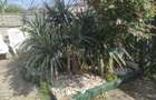 Inchiriez ap la casa pt 1 pers cu 1 catel sau o pisica - 4
