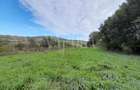 Teren intravilan agricol de vanzare in Betfia Bihor , Oradea - 3