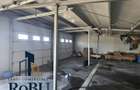 Spatiu PLATFORMA COMERCIALA IN Feldioara # Robu Spatii Comerciale - 3