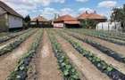 Casa de vanzare in Ungaria (Mehkerek) Zona de granita, comunitate romaneasca - 7