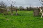 Teren de 1750 mp, în Șiclău - 4