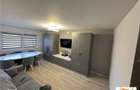 Apartament 2 camere, parter, mobilat, Cetate - 12