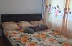 Apartament 2 camere semidecomandat brazda - 6
