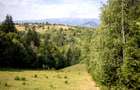 Comision0% Investitie turistica unica - Bran Sohodol 10131mp-Via Transilvanica - 5