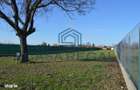Teren 3500 mp imprejmuit, central, Biharia, langa Profi, utilitati - 8