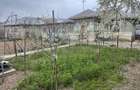 Casa 89 mp + teren 2298 mp intravilan si 2941 mp extravilan Negoiesti - 1