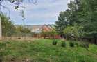 Teren intravilan in Breaza-- 2017 mp--50.000e - 11