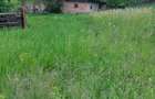 Casa cu teren intravilan de vanzare, loc. Mahaceni, Unirea, jud. Alba - 1