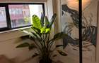 Apartament cu 2 camere decomandat în Floreasca - 28